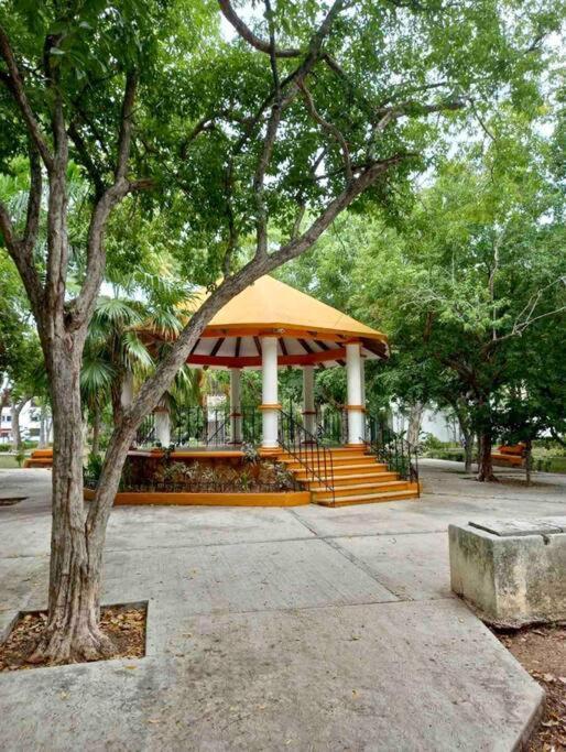 Beautiful Jungle House On A Strategic Location Villa Cancun Exterior photo