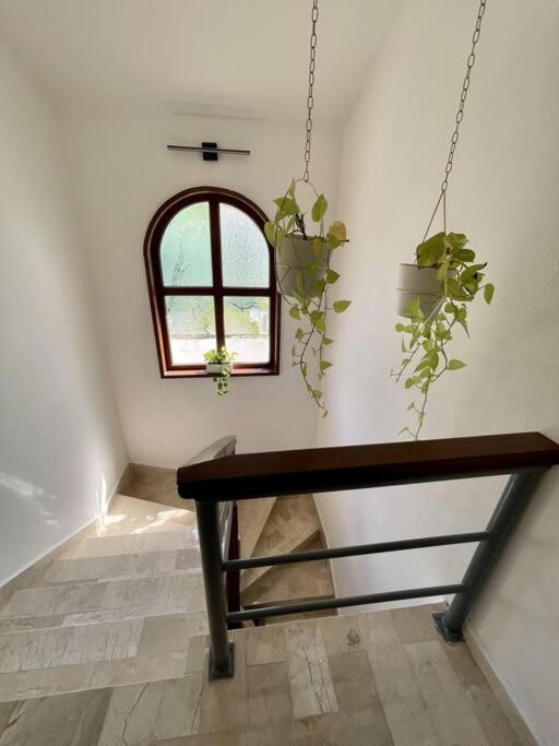 Beautiful Jungle House On A Strategic Location Villa Cancun Exterior photo